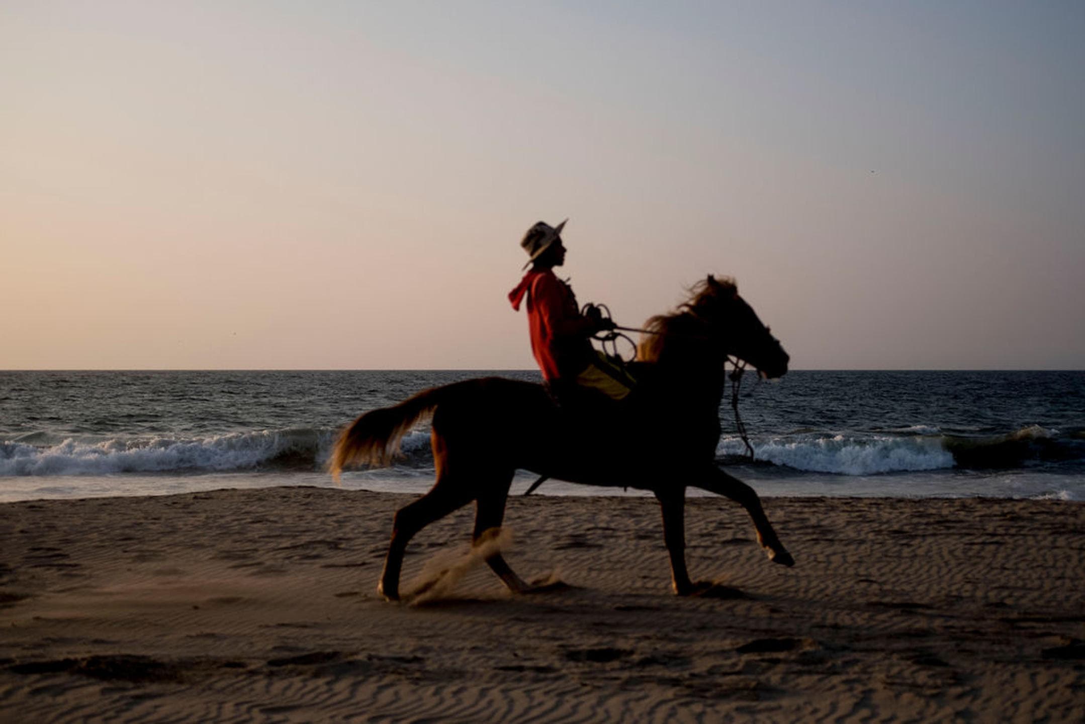 Paseos a Caballo
